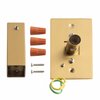 Wallplate Assy., gold, 4 1/2 x 2 11/16, 20mm tube (Tahoe 7, Brushed Gold)
