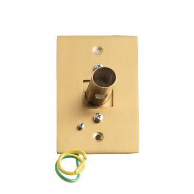 Insert, circular, gold, 20mm diameter
