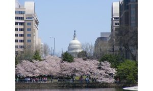 Washington DC Skyline-Capital Building