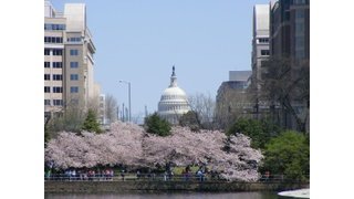 Washington DC Skyline-Capital Building