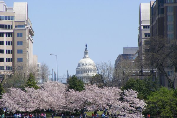 Washington DC Skyline-Capital Building
