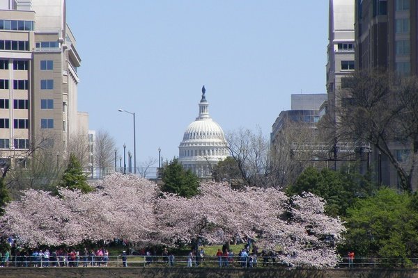 Washington DC Skyline-Capital Building