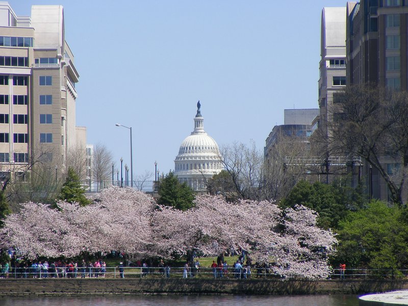 Washington DC Skyline-Capital Building