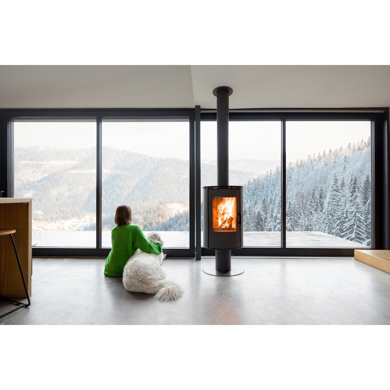 Woman with Dog & Fireplace in Winter
