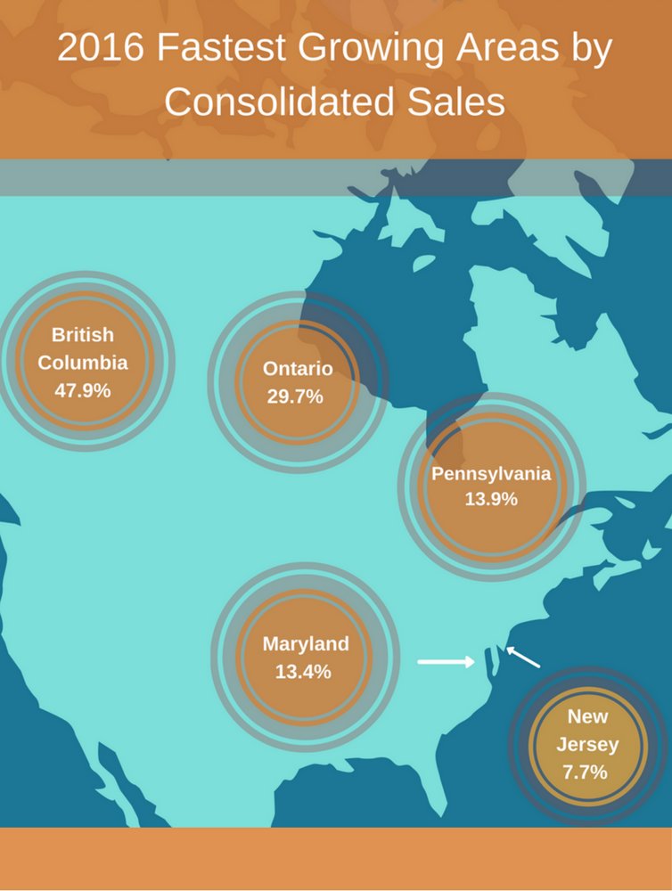 2016 Fastest Growing Areas by Consolidated Sales Infographic