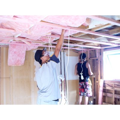 Attic insulation