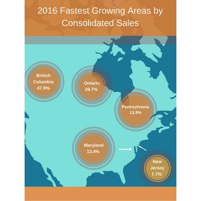 2016 Fastest Growing Areas by Consolidated Sales Infographic