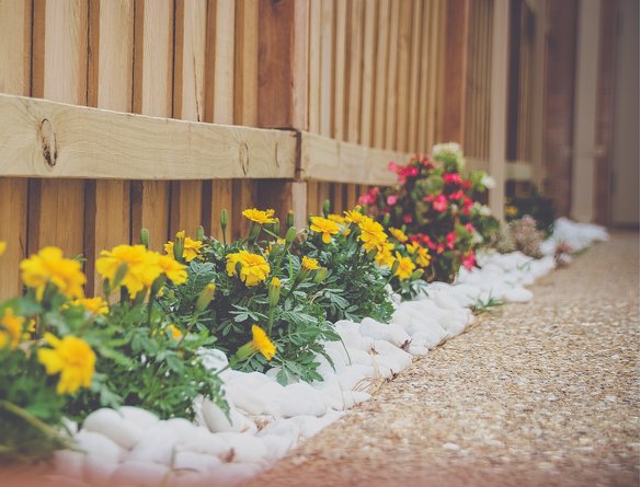 Minimalistic landscaping